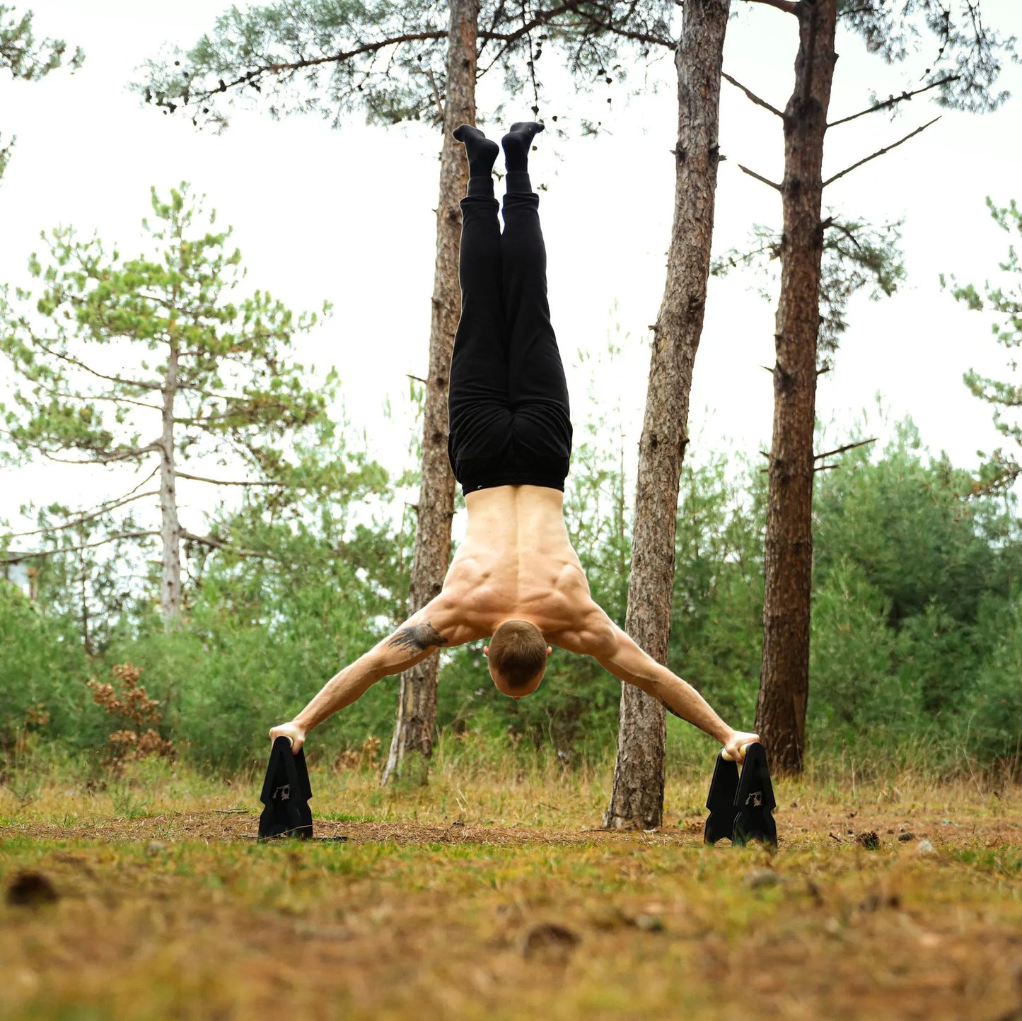 Big Bear Parallettes - Parallel - Push up Bar - Calisthenics - Bodyweight Exercises