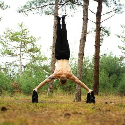 Big Bear Parallettes - Parallel - Push up Bar - Calisthenics - Bodyweight Exercises
