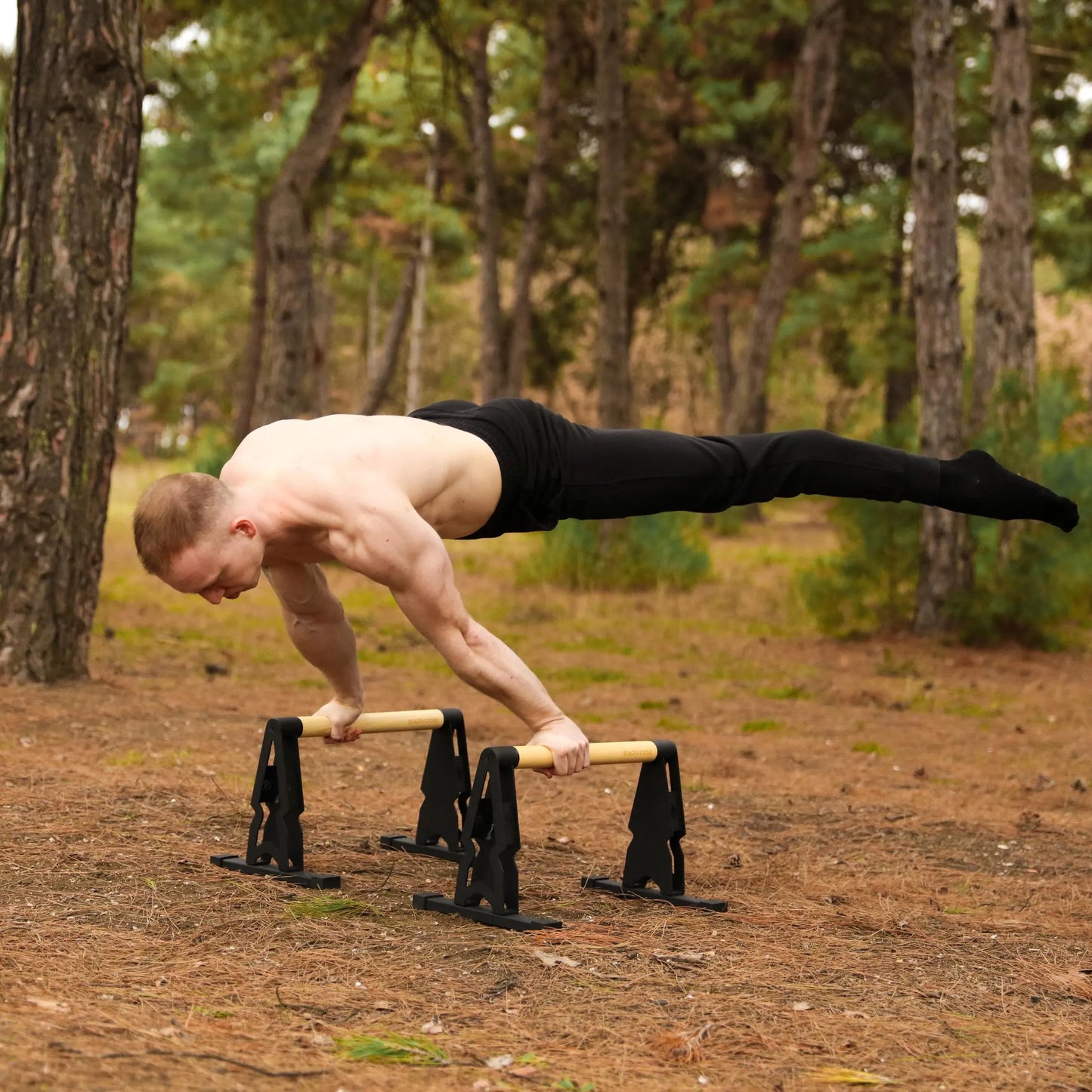 Big Bear Parallettes - Parallel - Push up Bar - Calisthenics - Bodyweight Exercises