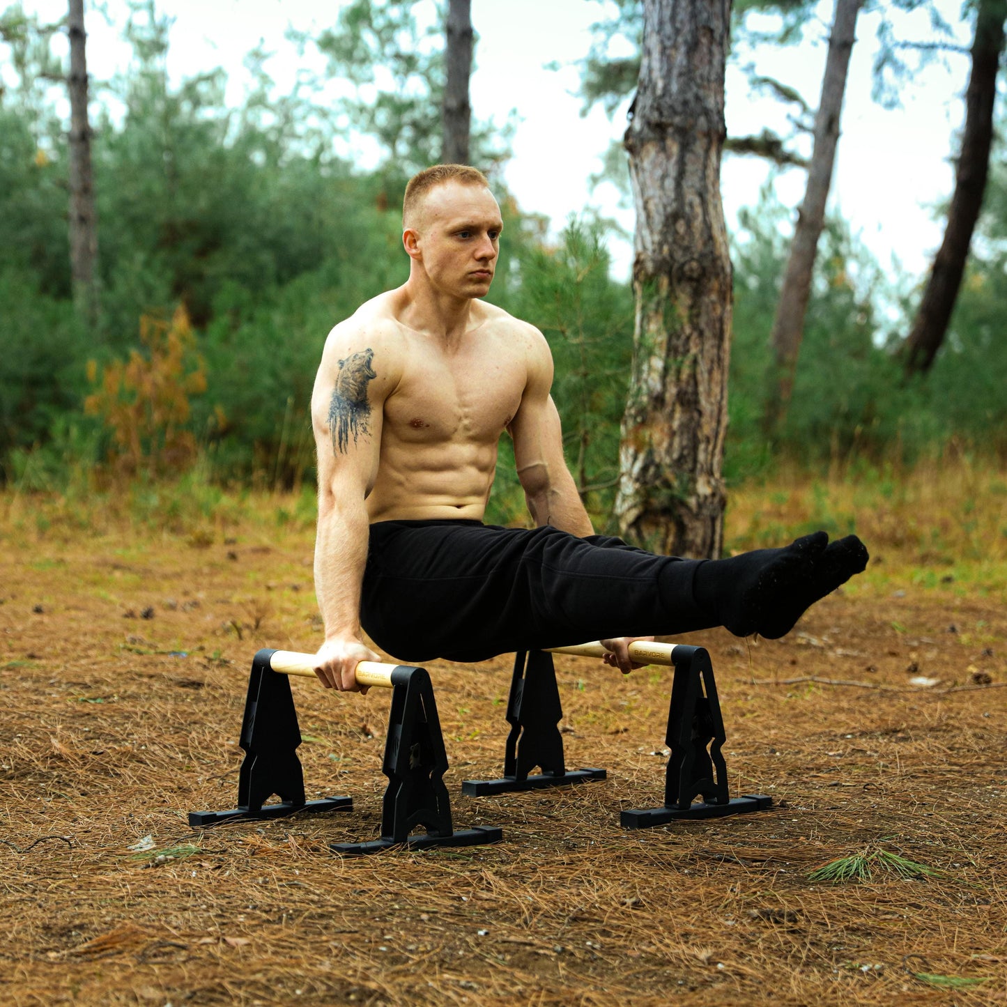 Big Bear Parallettes - Parallel - Push up Bar - Calisthenics - Bodyweight Exercises